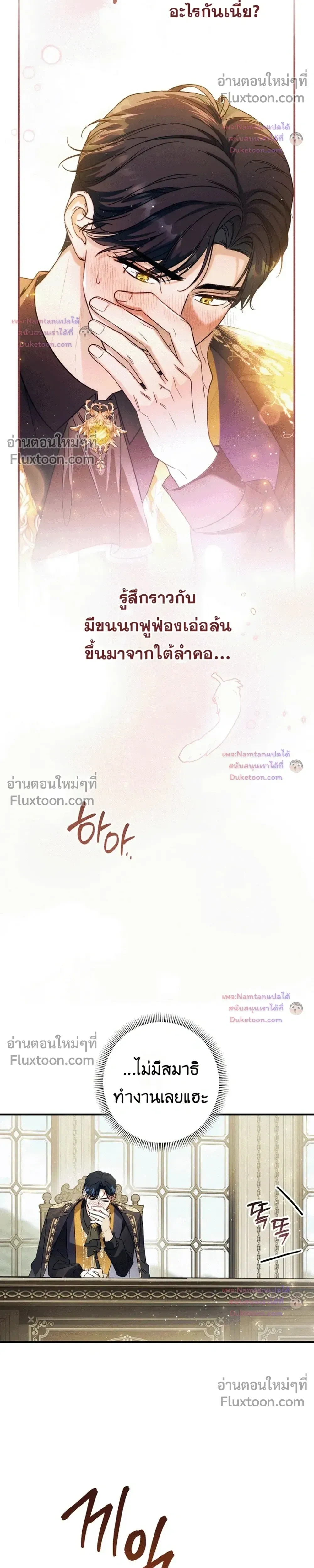 หน้าที่ 11