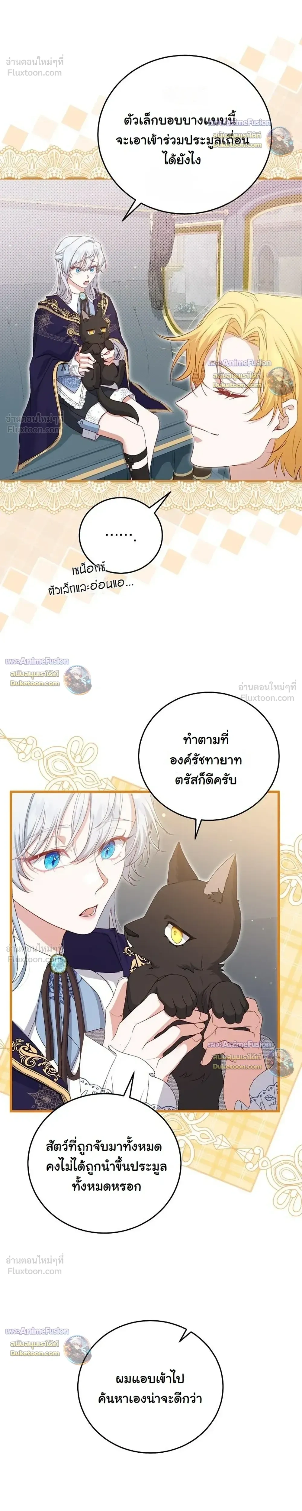 หน้าที่ 17