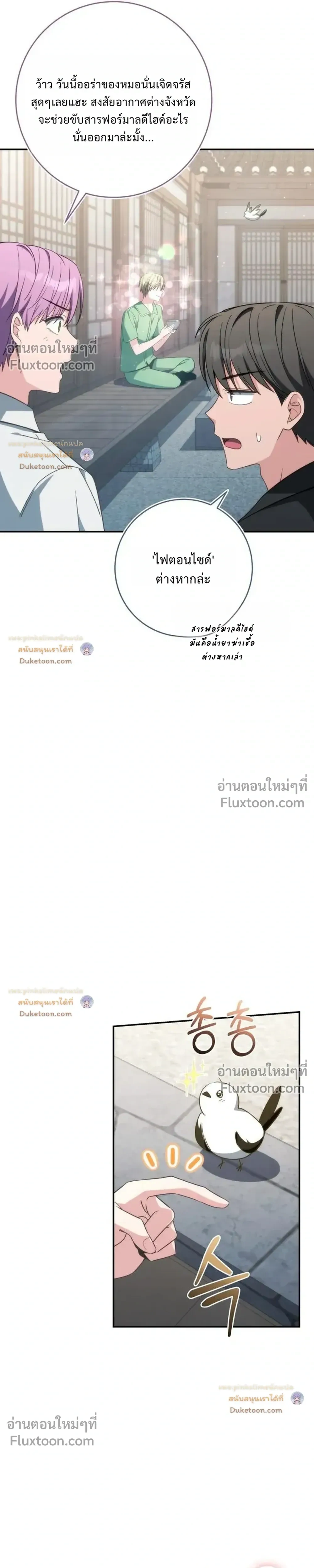 หน้าที่ 29