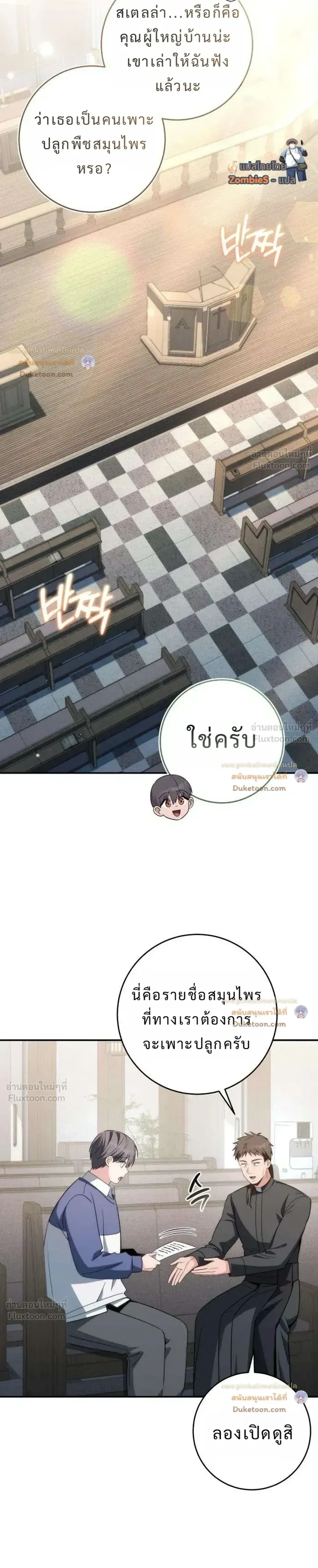หน้าที่ 31