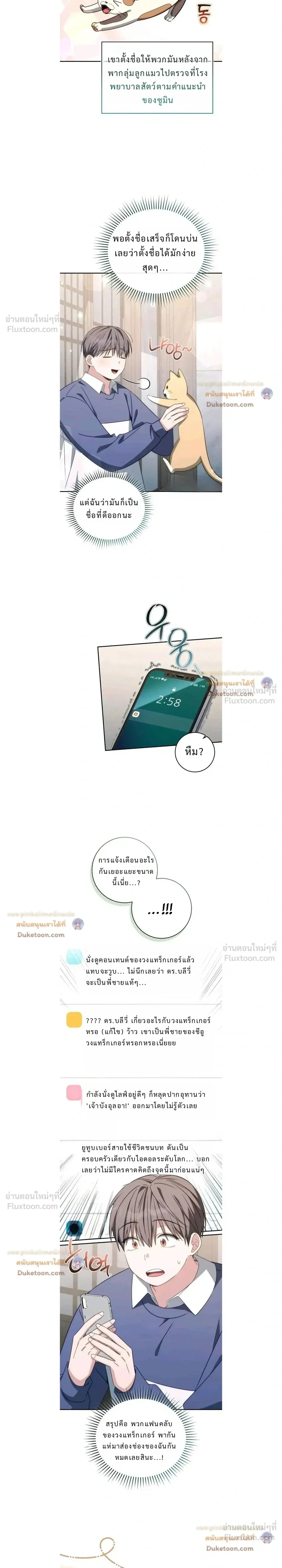 หน้าที่ 17