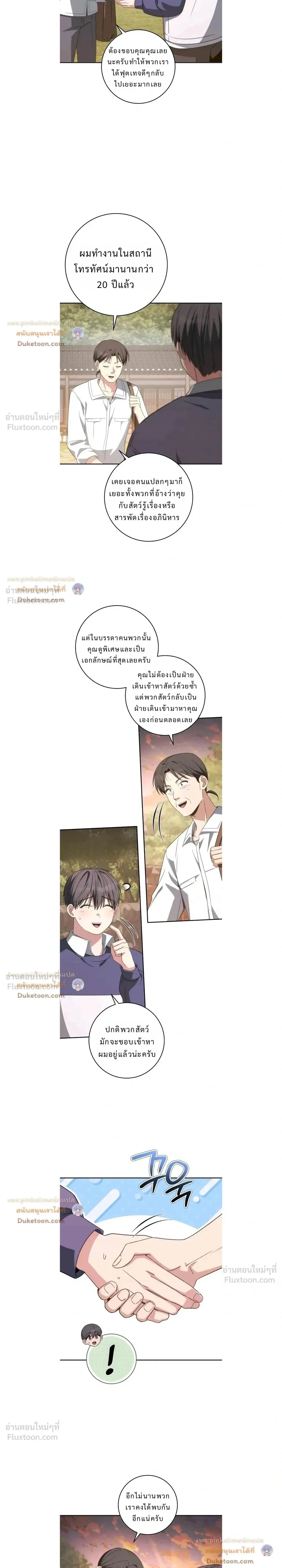 หน้าที่ 13