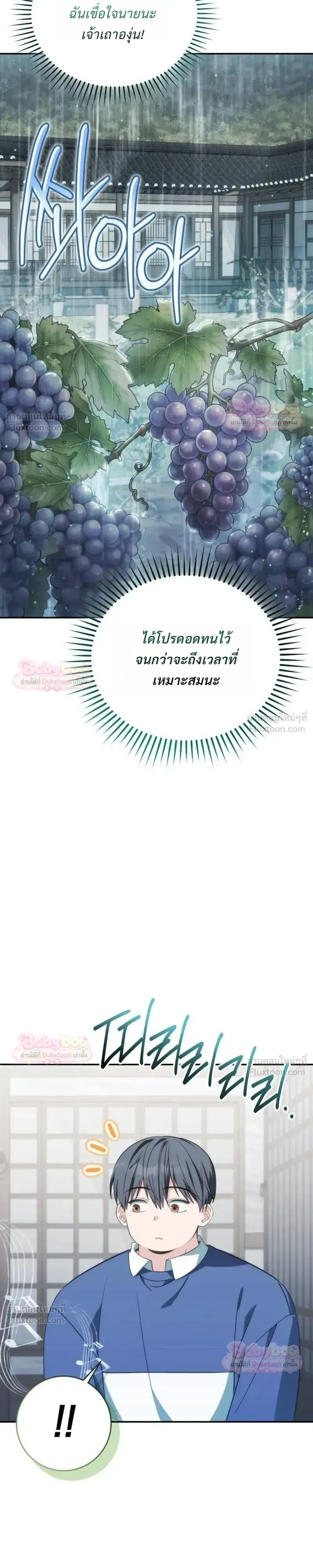 หน้าที่ 31