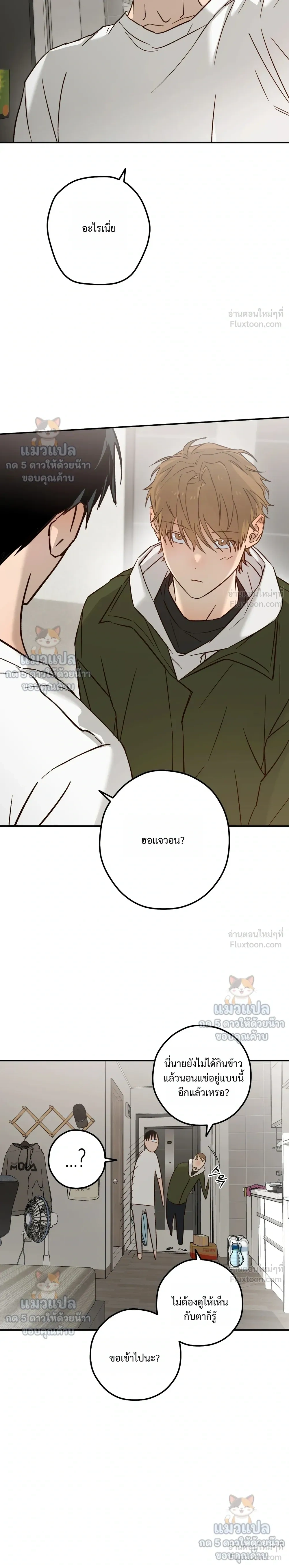 หน้าที่ 13