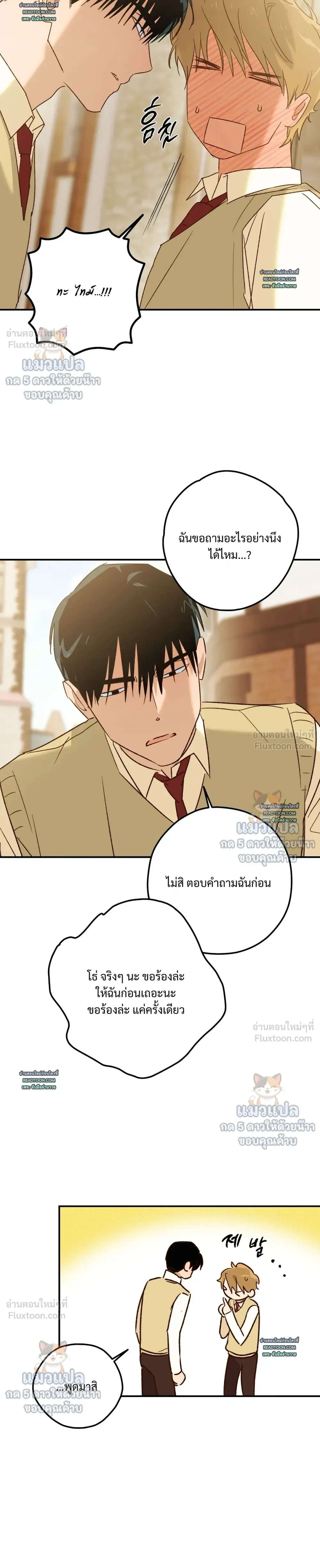 หน้าที่ 11