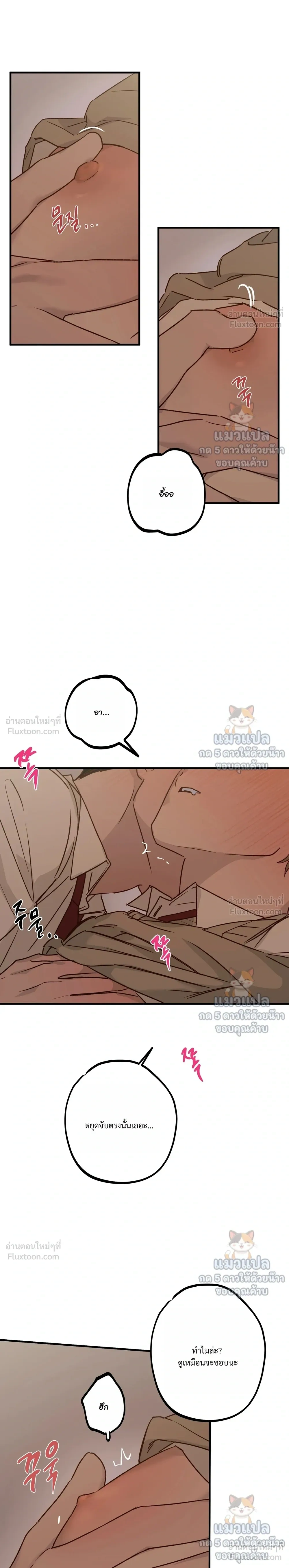 หน้าที่ 17