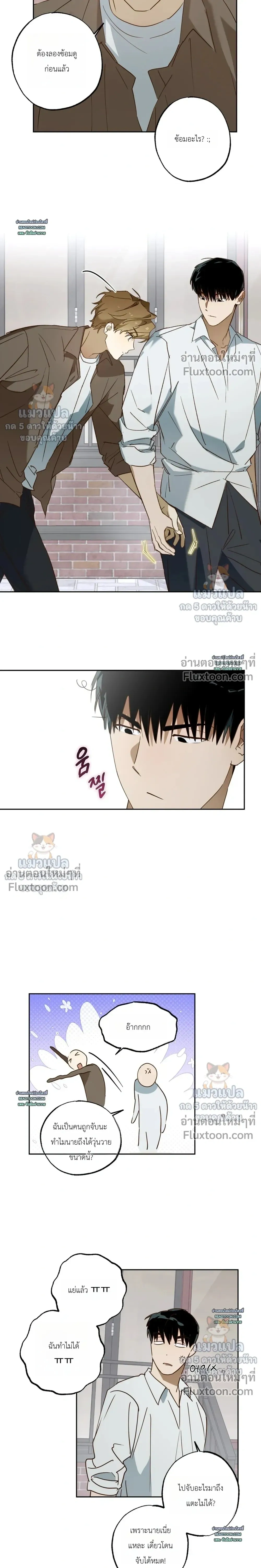 หน้าที่ 12