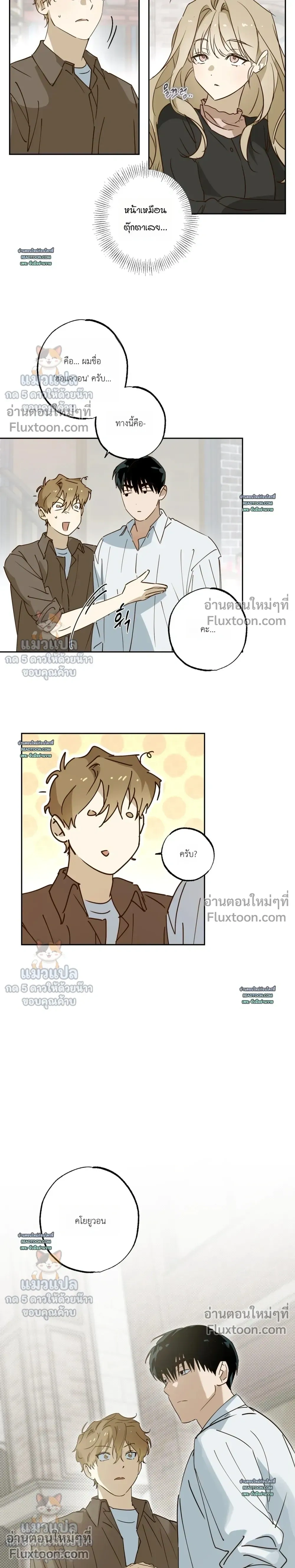 หน้าที่ 17