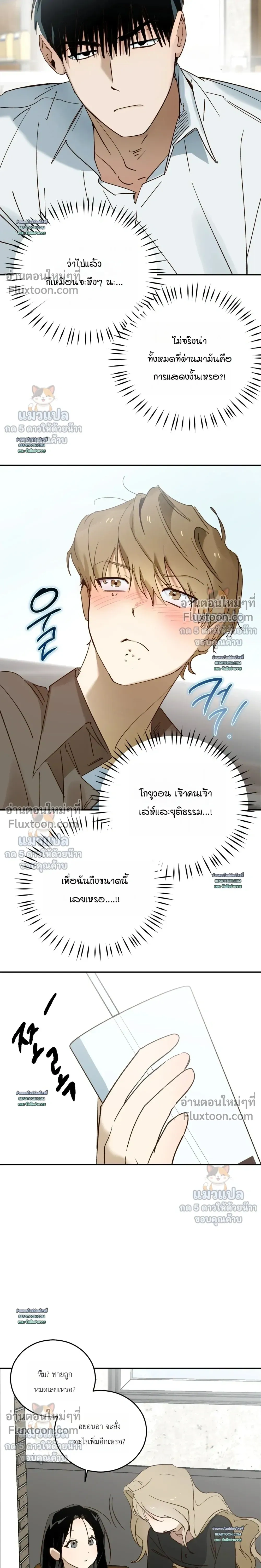 หน้าที่ 13
