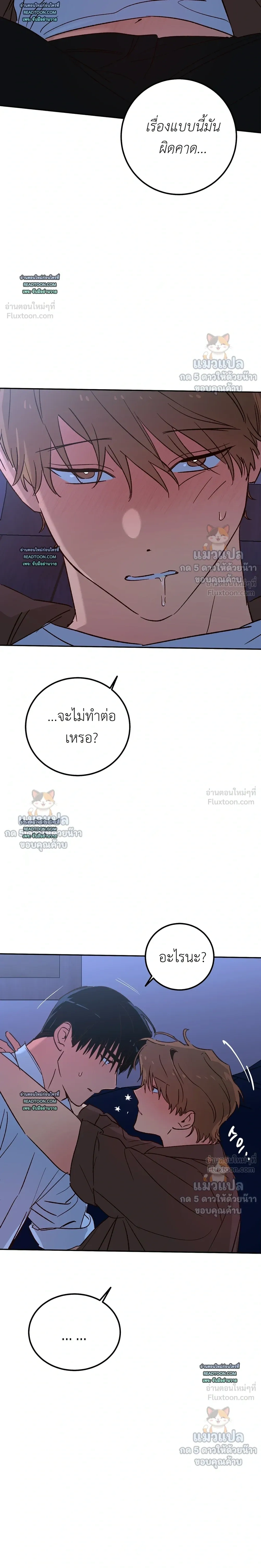 หน้าที่ 13