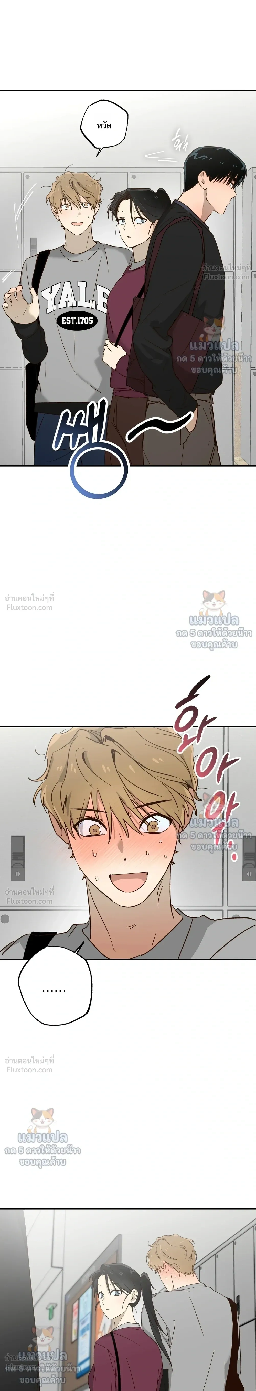 หน้าที่ 13