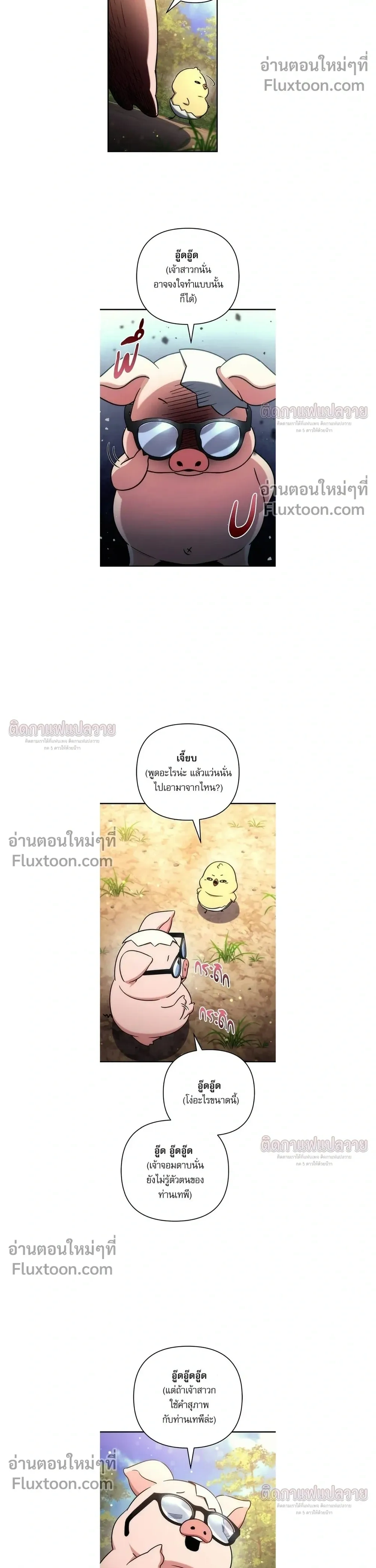 หน้าที่ 19