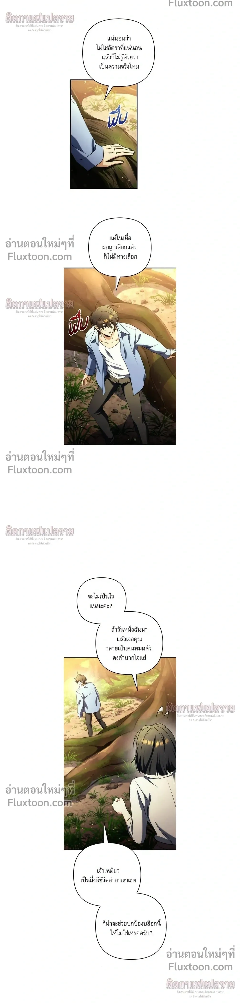 หน้าที่ 13
