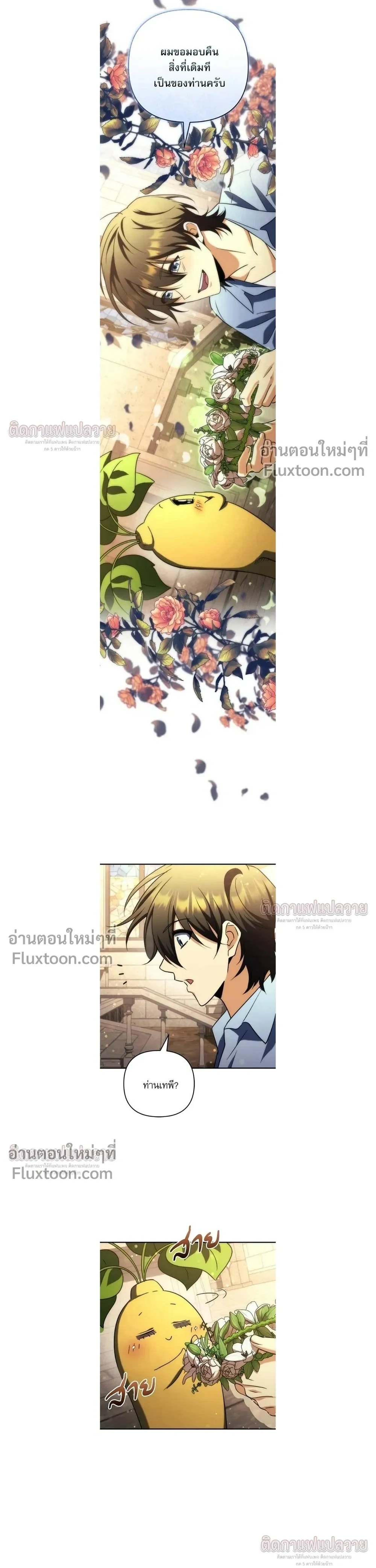 หน้าที่ 24