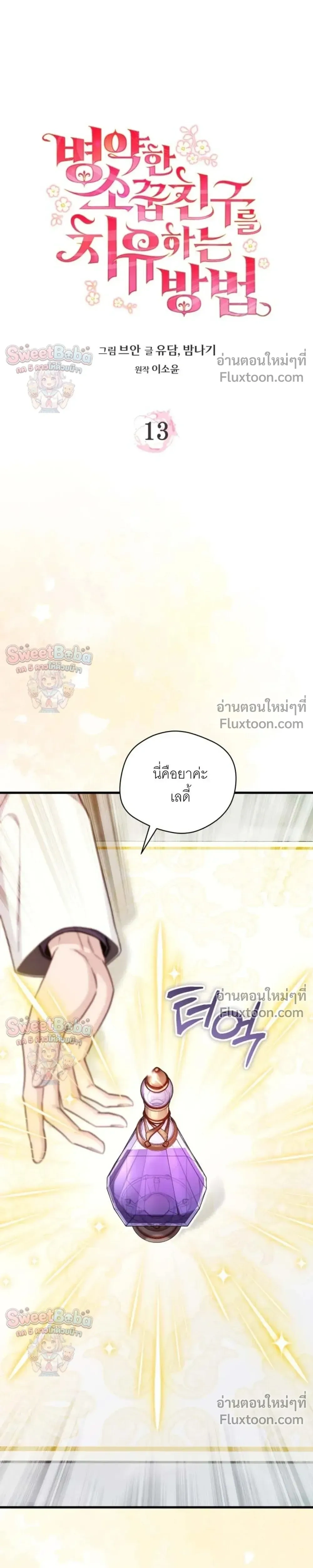 หน้าที่ 13