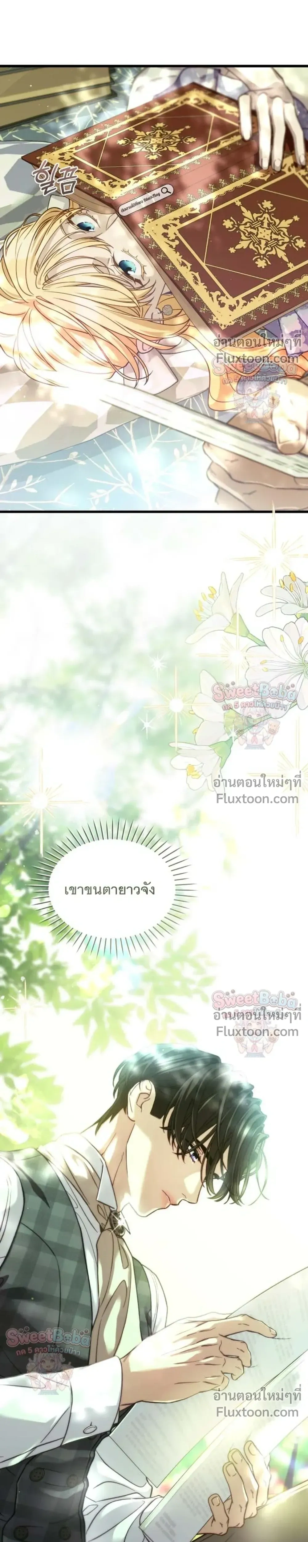 หน้าที่ 17