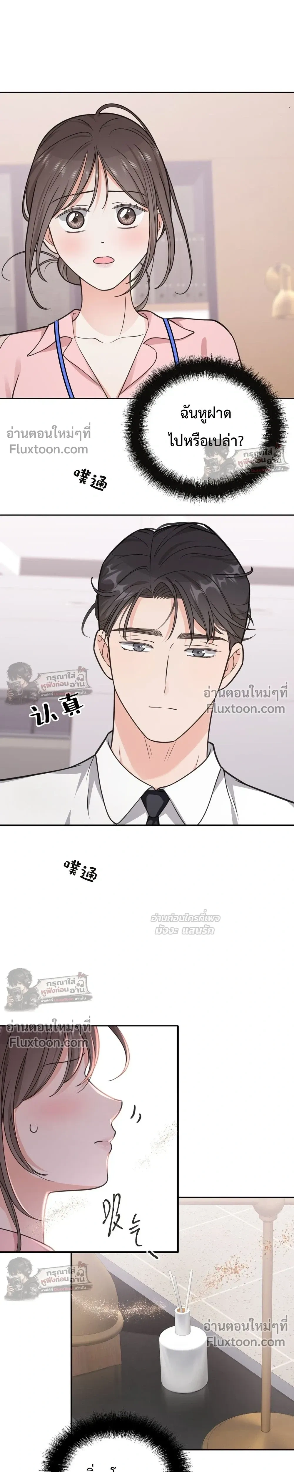 หน้าที่ 17
