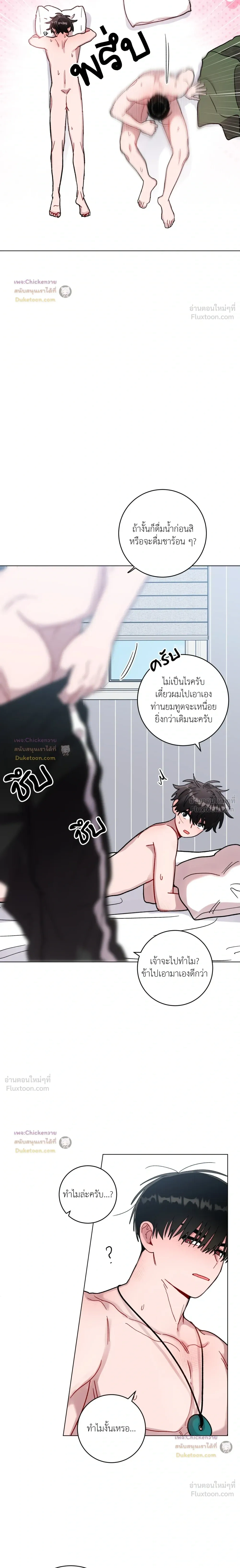 หน้าที่ 13