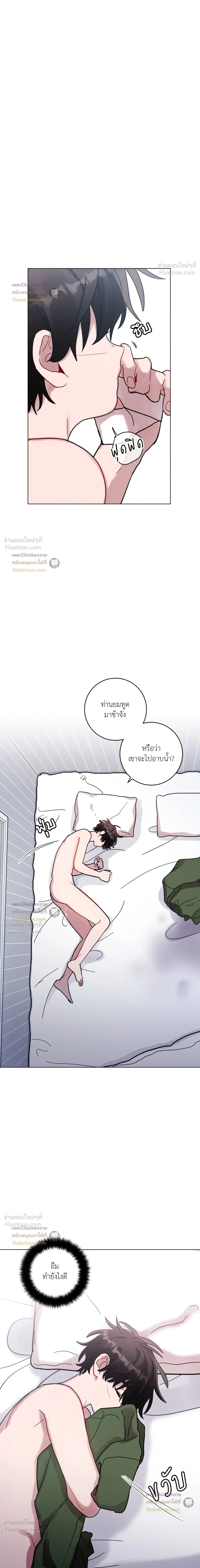 หน้าที่ 17