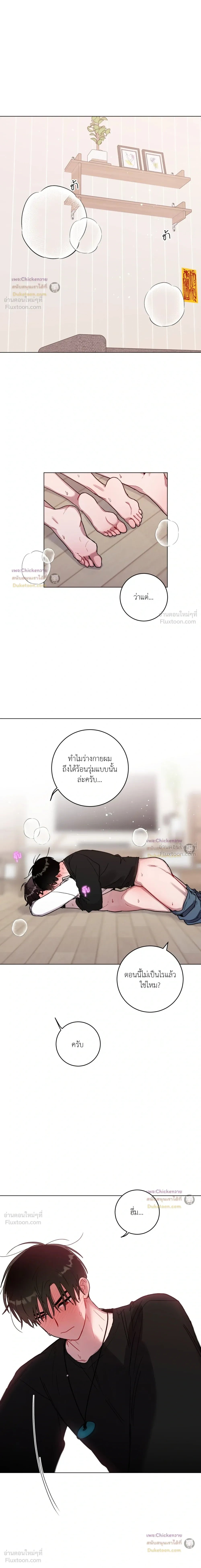 หน้าที่ 11