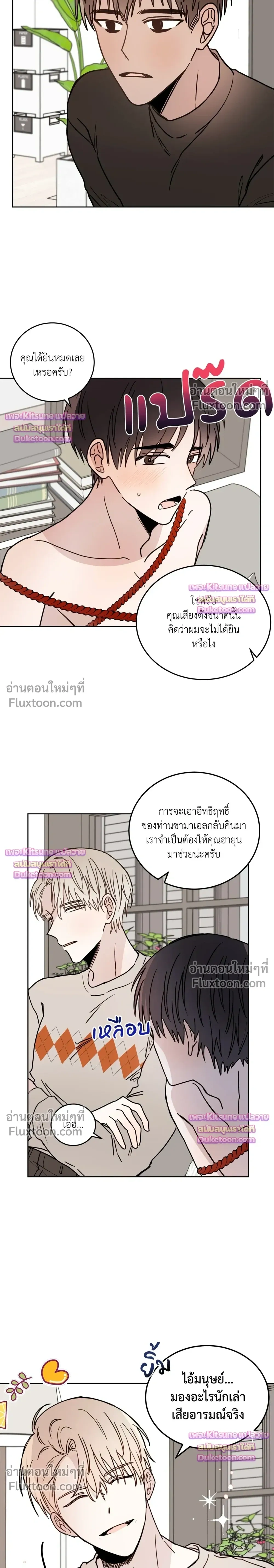 หน้าที่ 11
