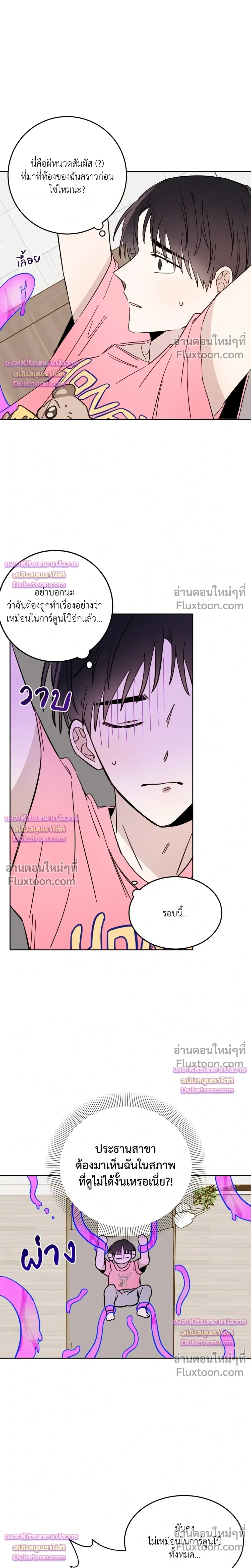 หน้าที่ 13