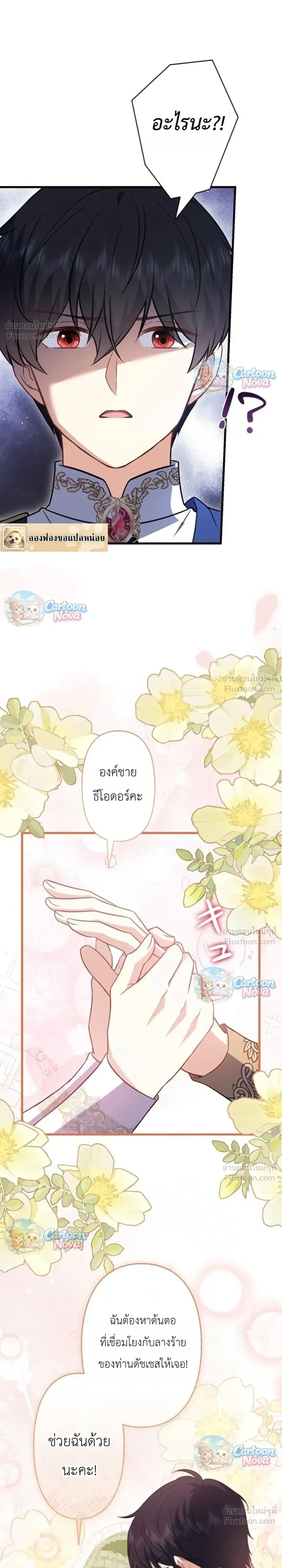 หน้าที่ 31