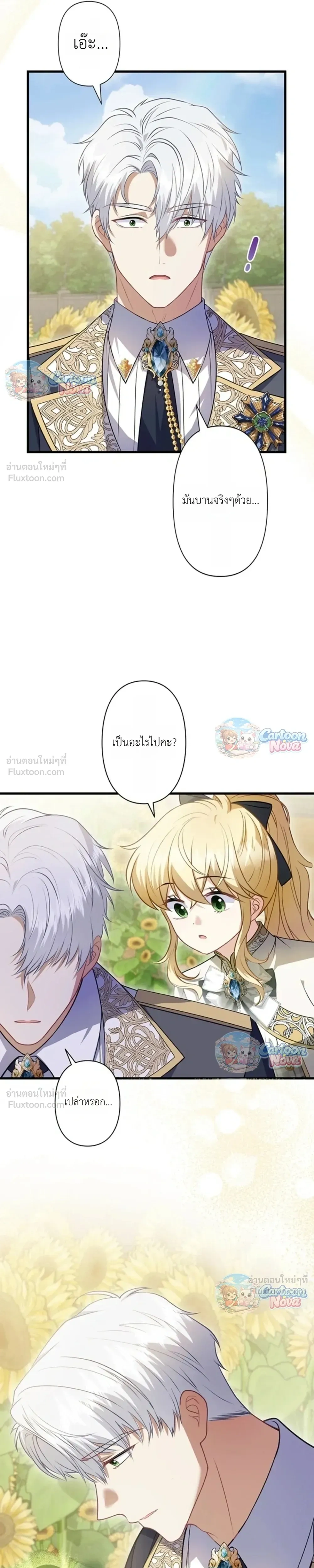 หน้าที่ 17