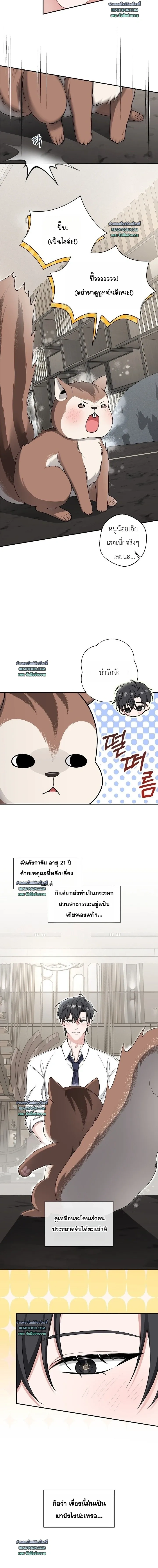 หน้าที่ 4
