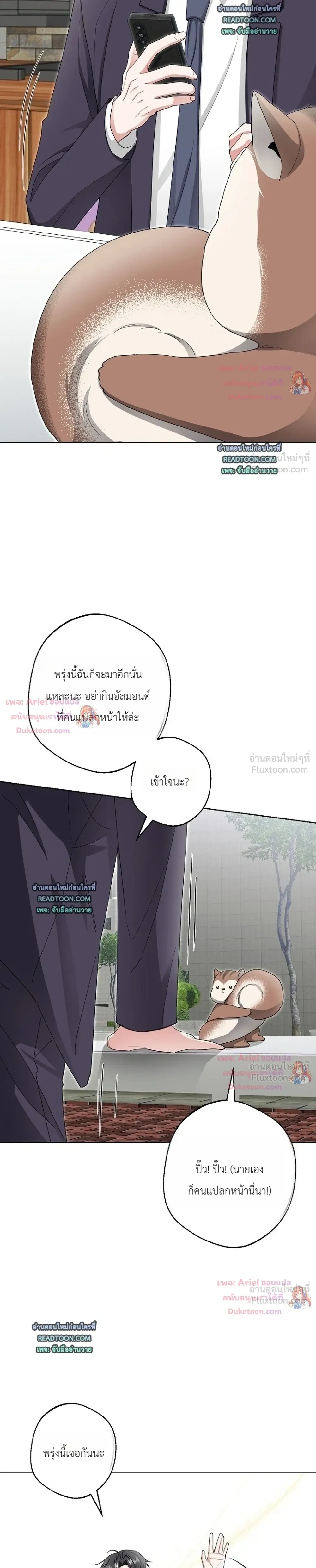 หน้าที่ 17