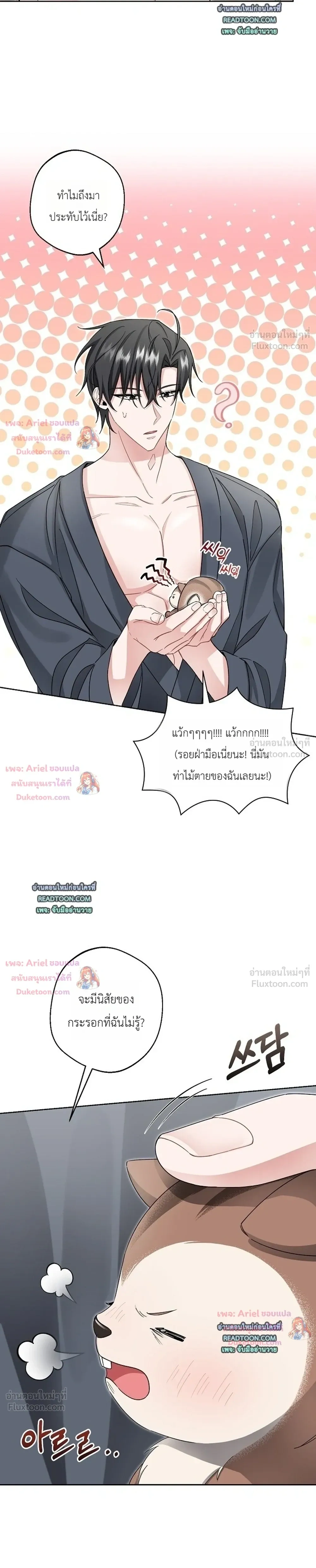 หน้าที่ 19