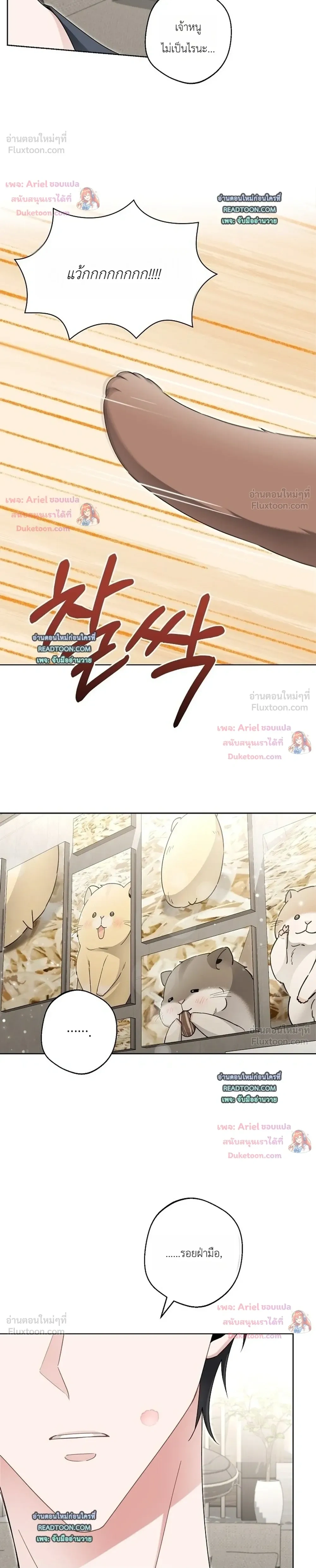 หน้าที่ 18