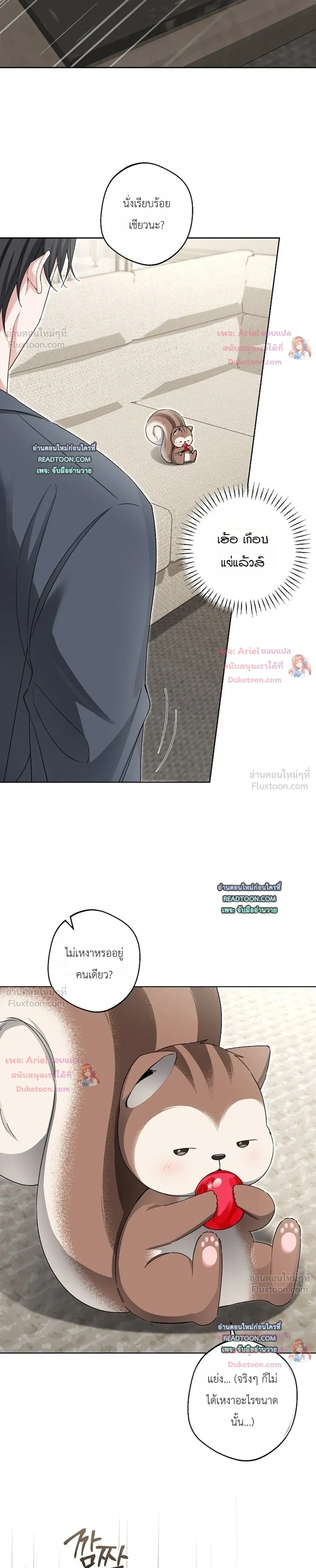 หน้าที่ 13