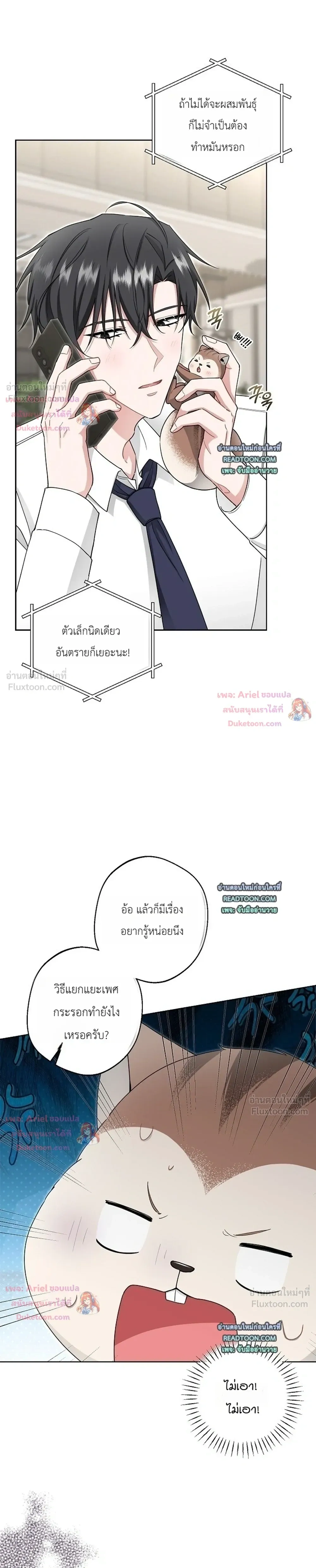 หน้าที่ 13