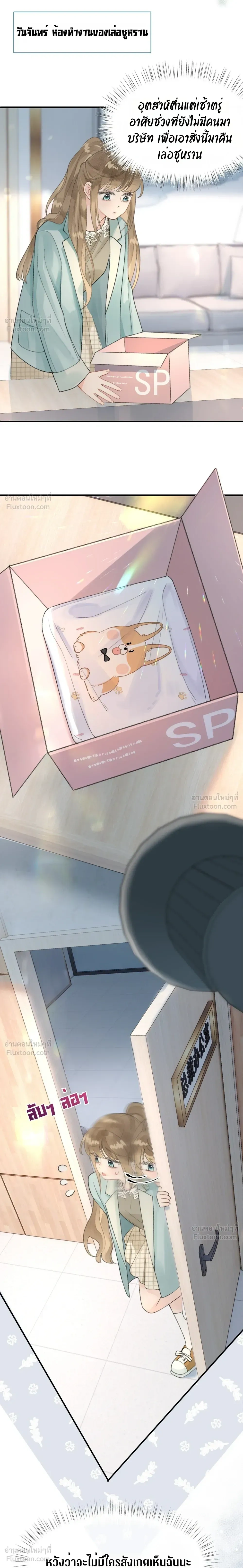 หน้าที่ 13