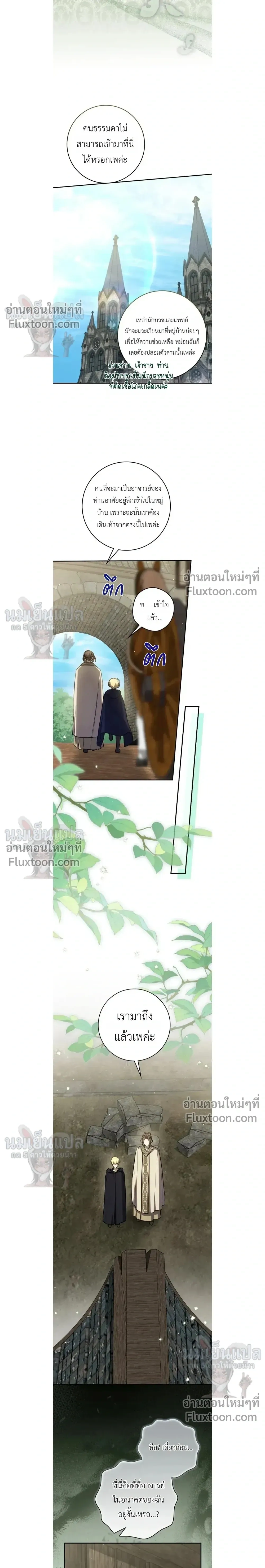 หน้าที่ 13