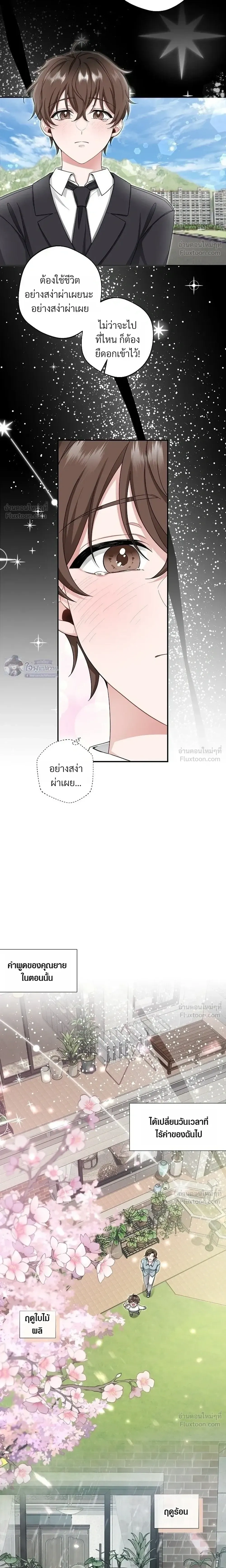 หน้าที่ 17