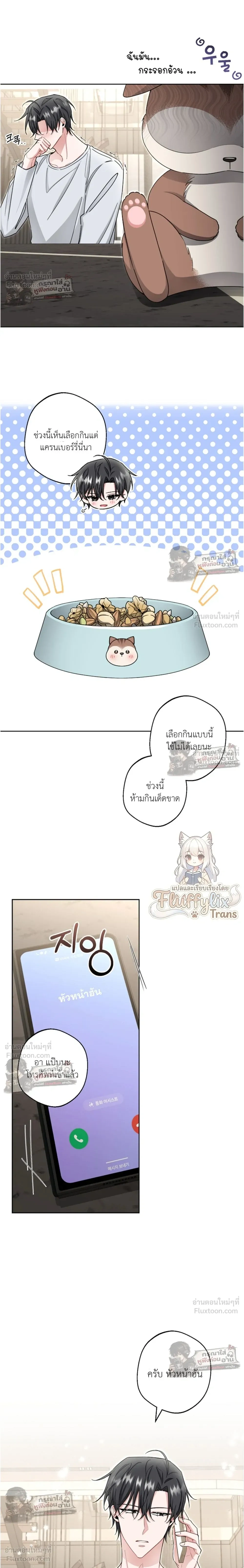 หน้าที่ 5