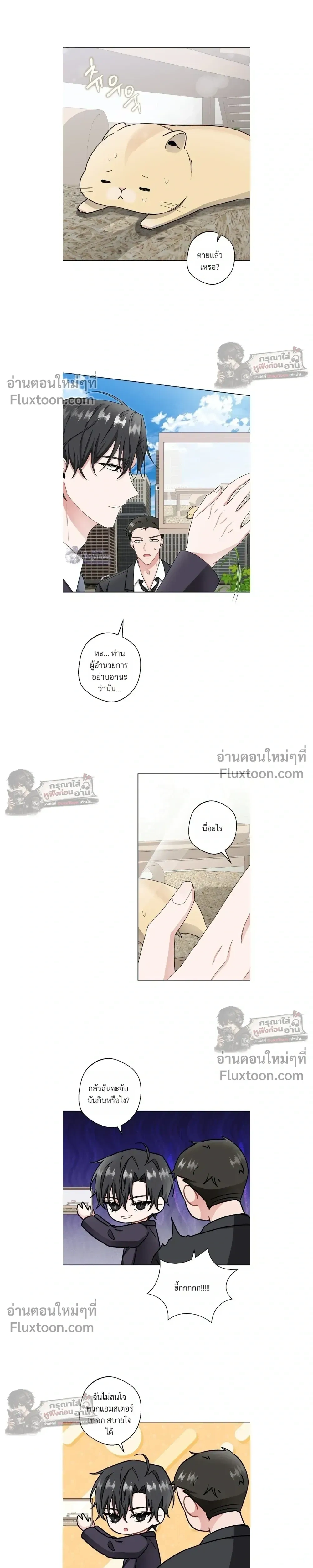 หน้าที่ 12