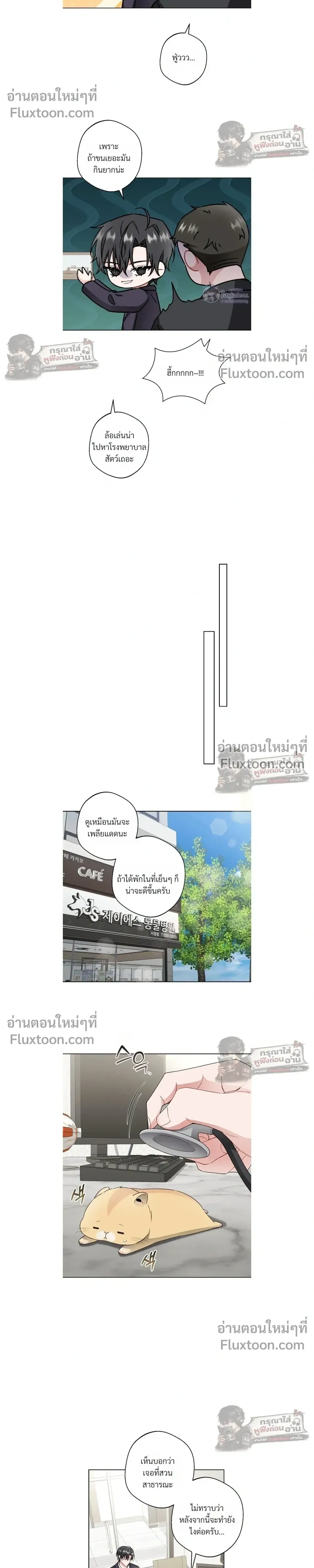 หน้าที่ 13