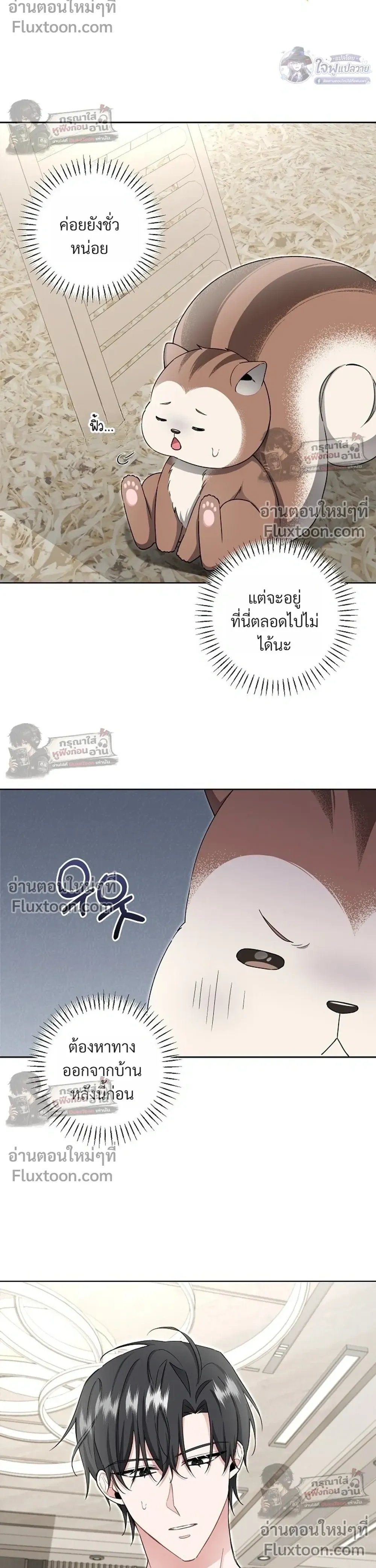หน้าที่ 19