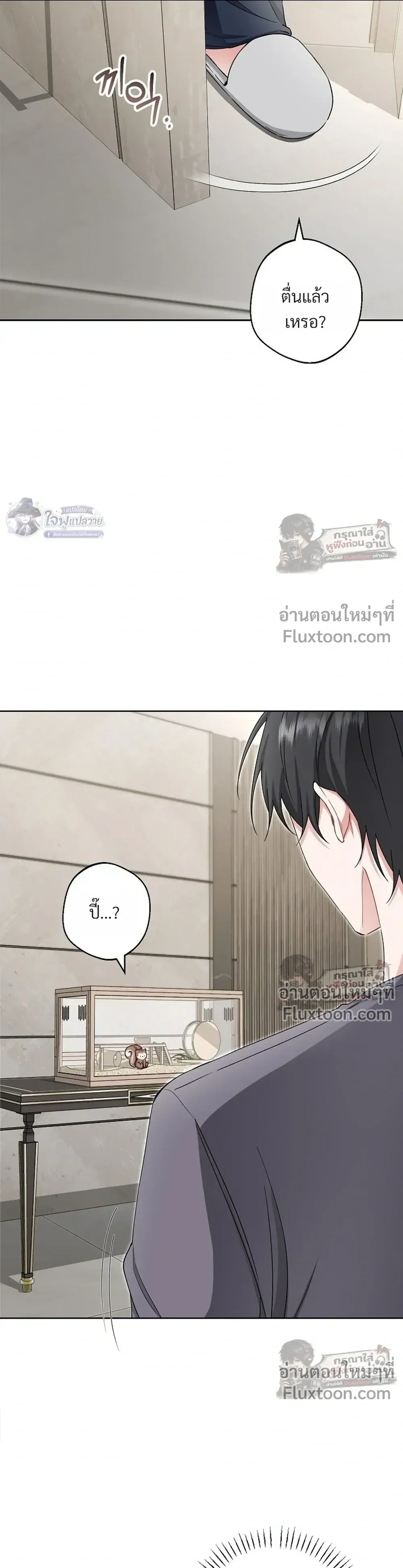 หน้าที่ 17