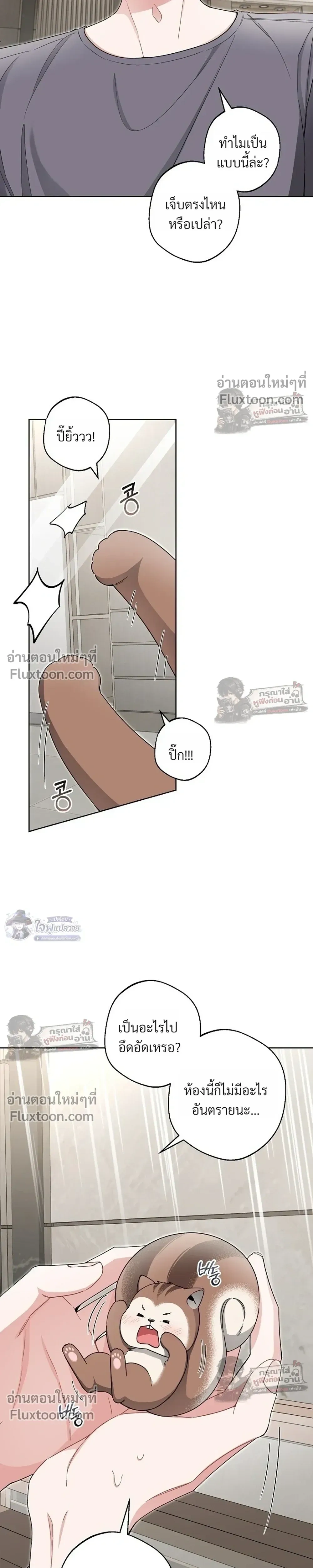 หน้าที่ 20