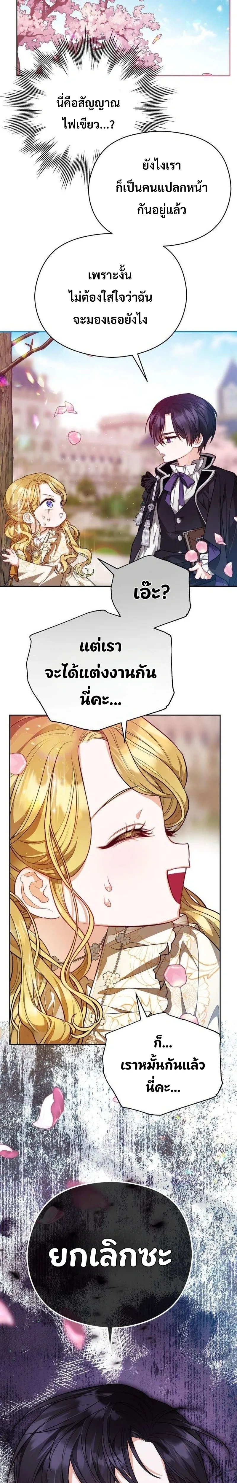 หน้าที่ 29