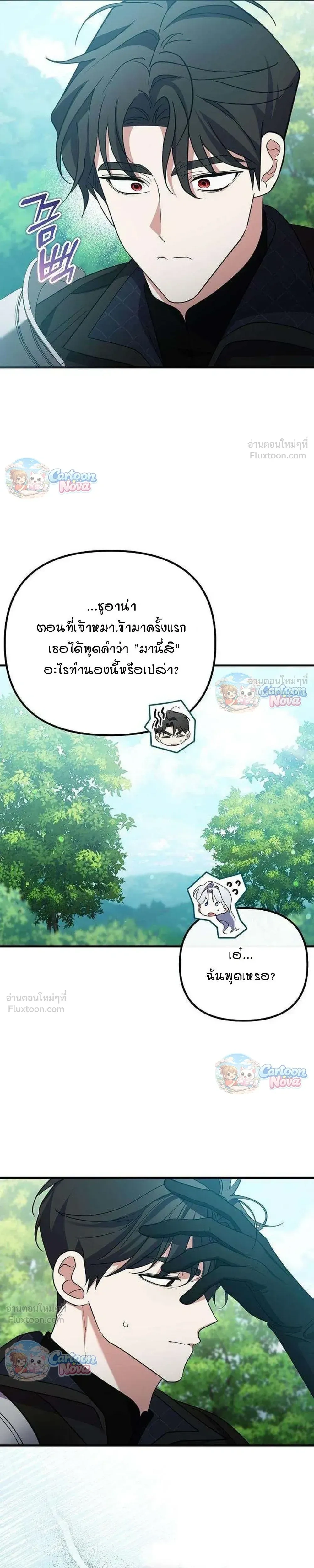 หน้าที่ 13