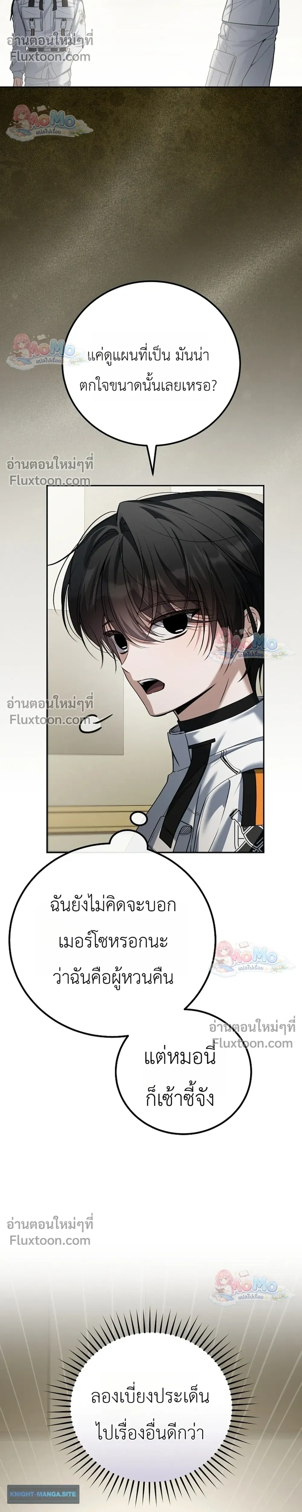 หน้าที่ 13