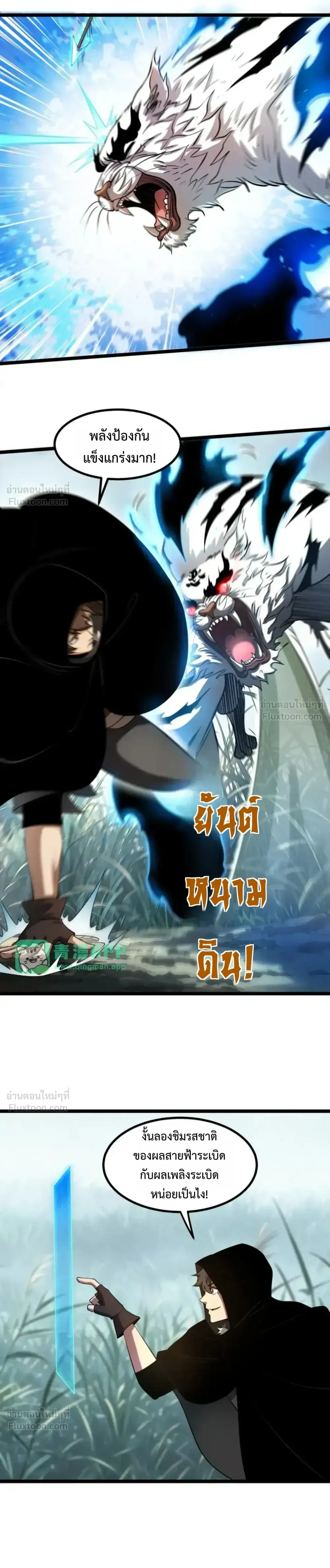 หน้าที่ 13