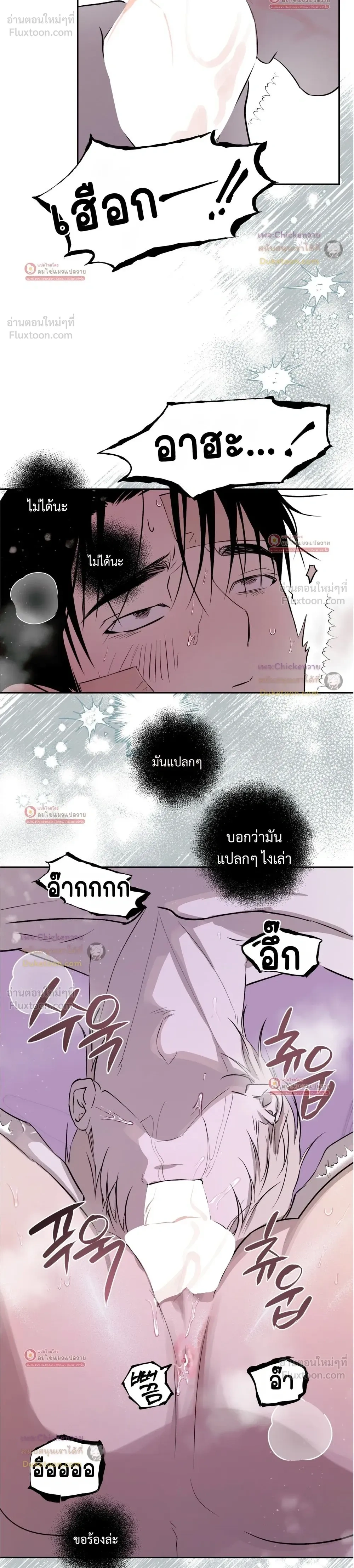 หน้าที่ 26