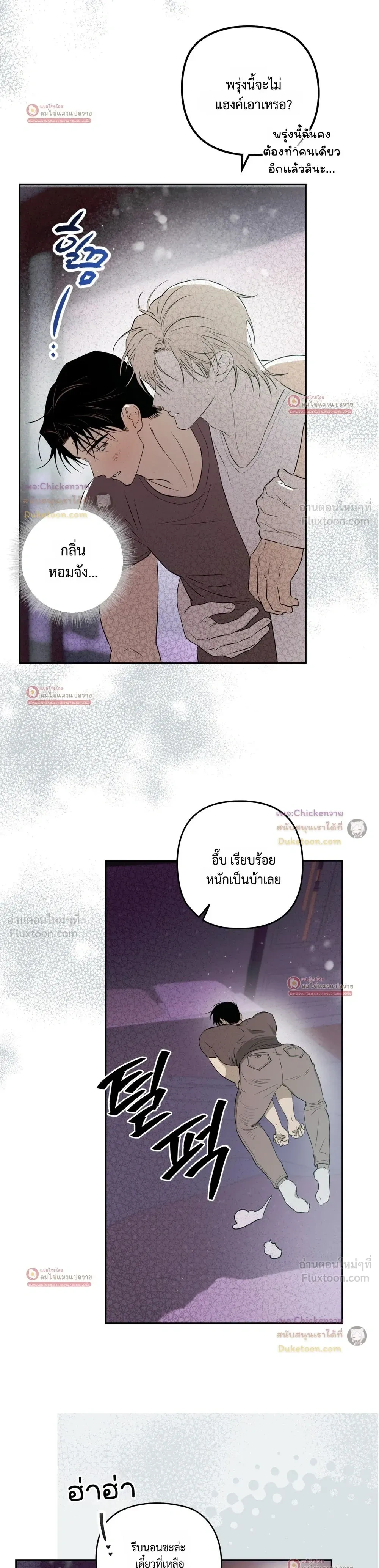 หน้าที่ 11