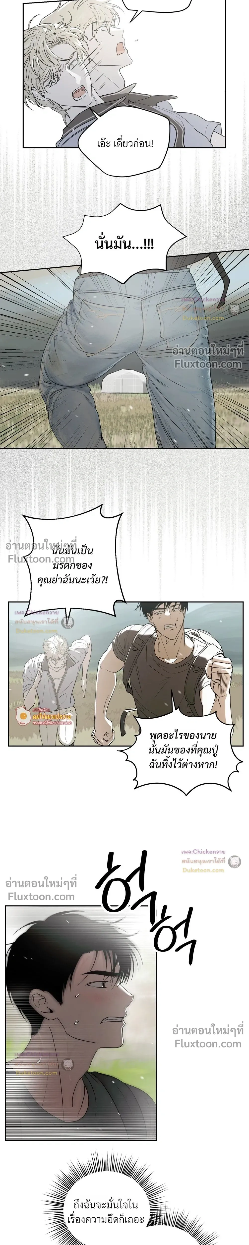 หน้าที่ 13